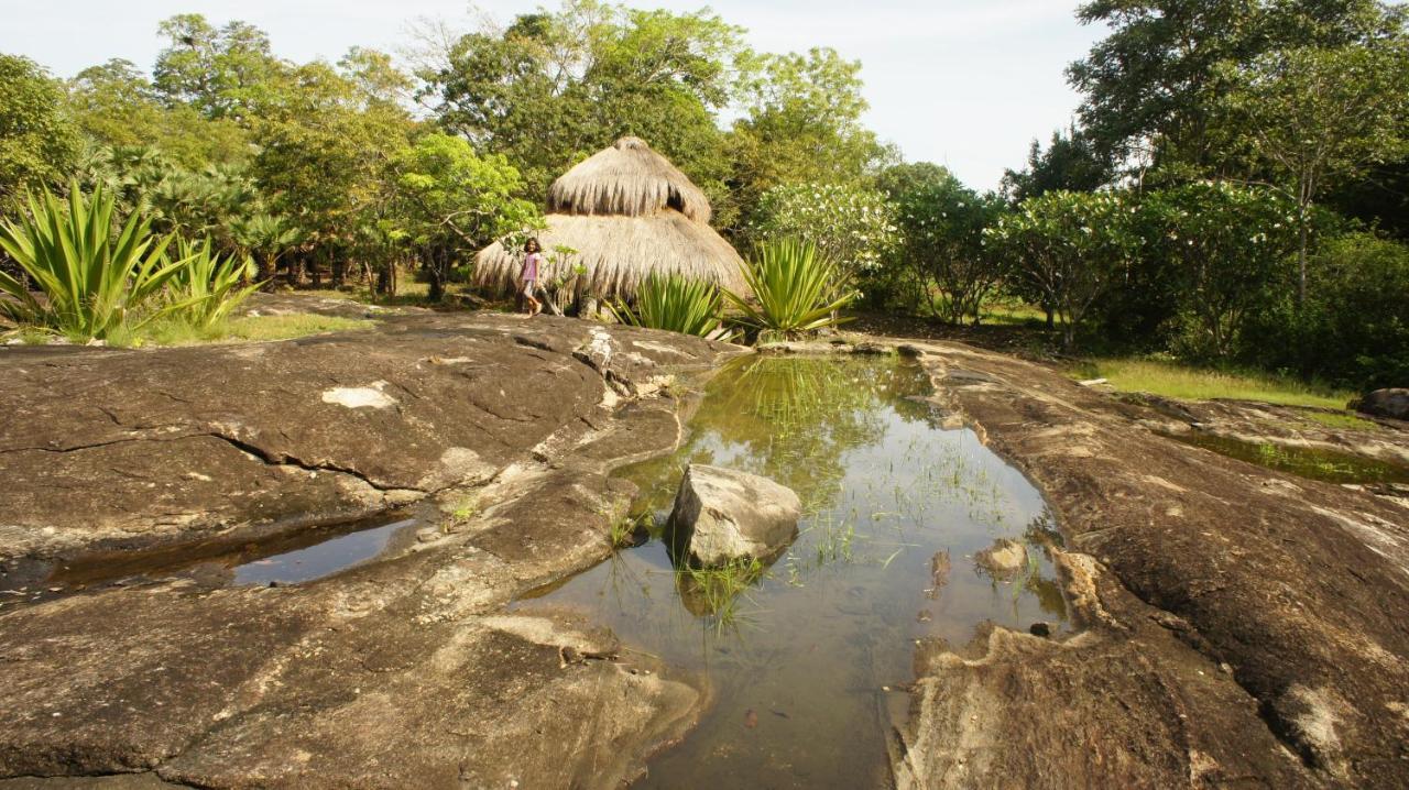 Buttala Galapita Eco Lodge מראה חיצוני תמונה