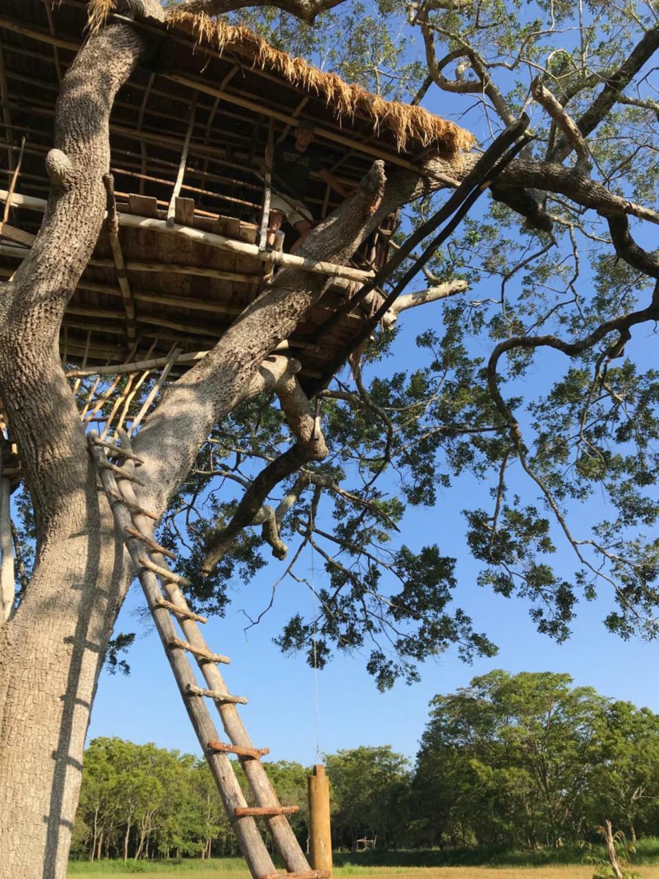 Buttala Galapita Eco Lodge מראה חיצוני תמונה