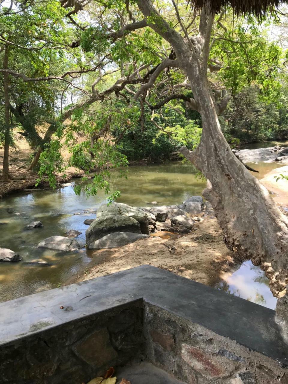 Buttala Galapita Eco Lodge מראה חיצוני תמונה
