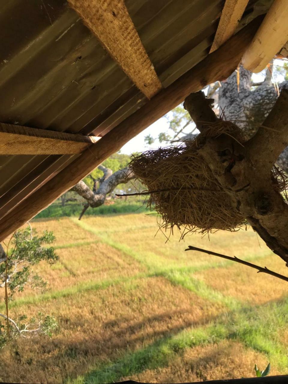 Buttala Galapita Eco Lodge מראה חיצוני תמונה