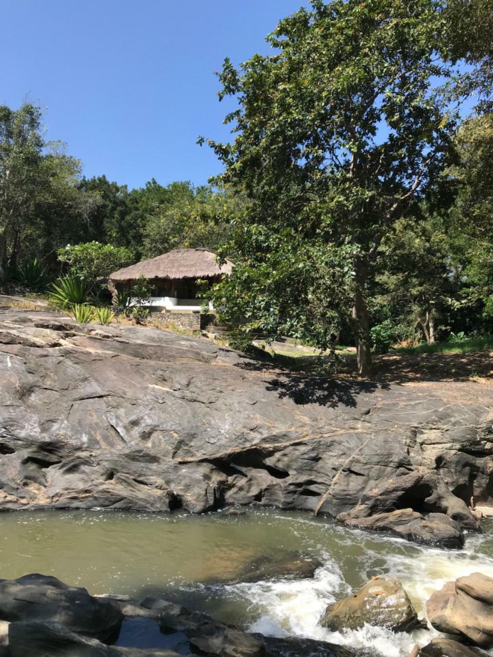 Buttala Galapita Eco Lodge מראה חיצוני תמונה