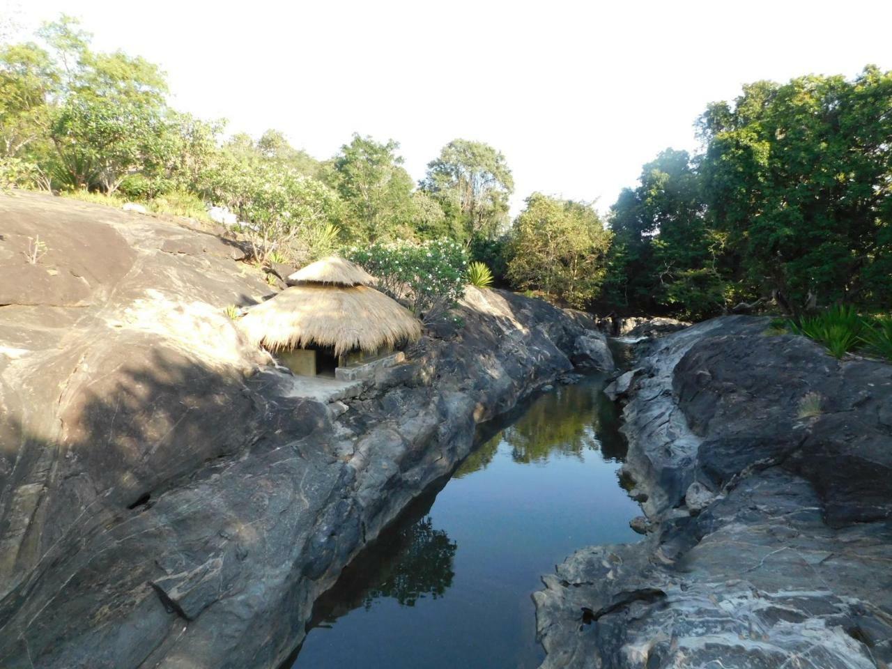 Buttala Galapita Eco Lodge מראה חיצוני תמונה