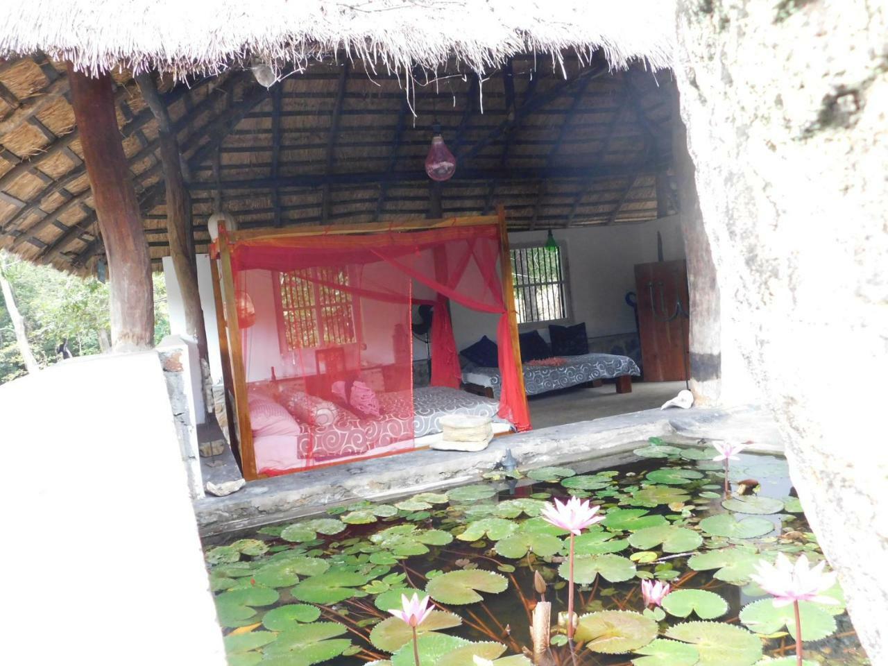 Buttala Galapita Eco Lodge מראה חיצוני תמונה