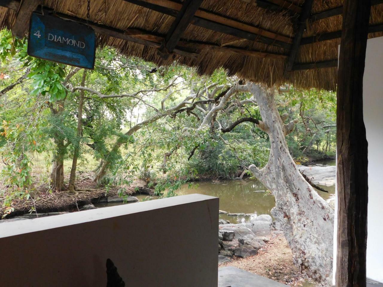 Buttala Galapita Eco Lodge חדר תמונה