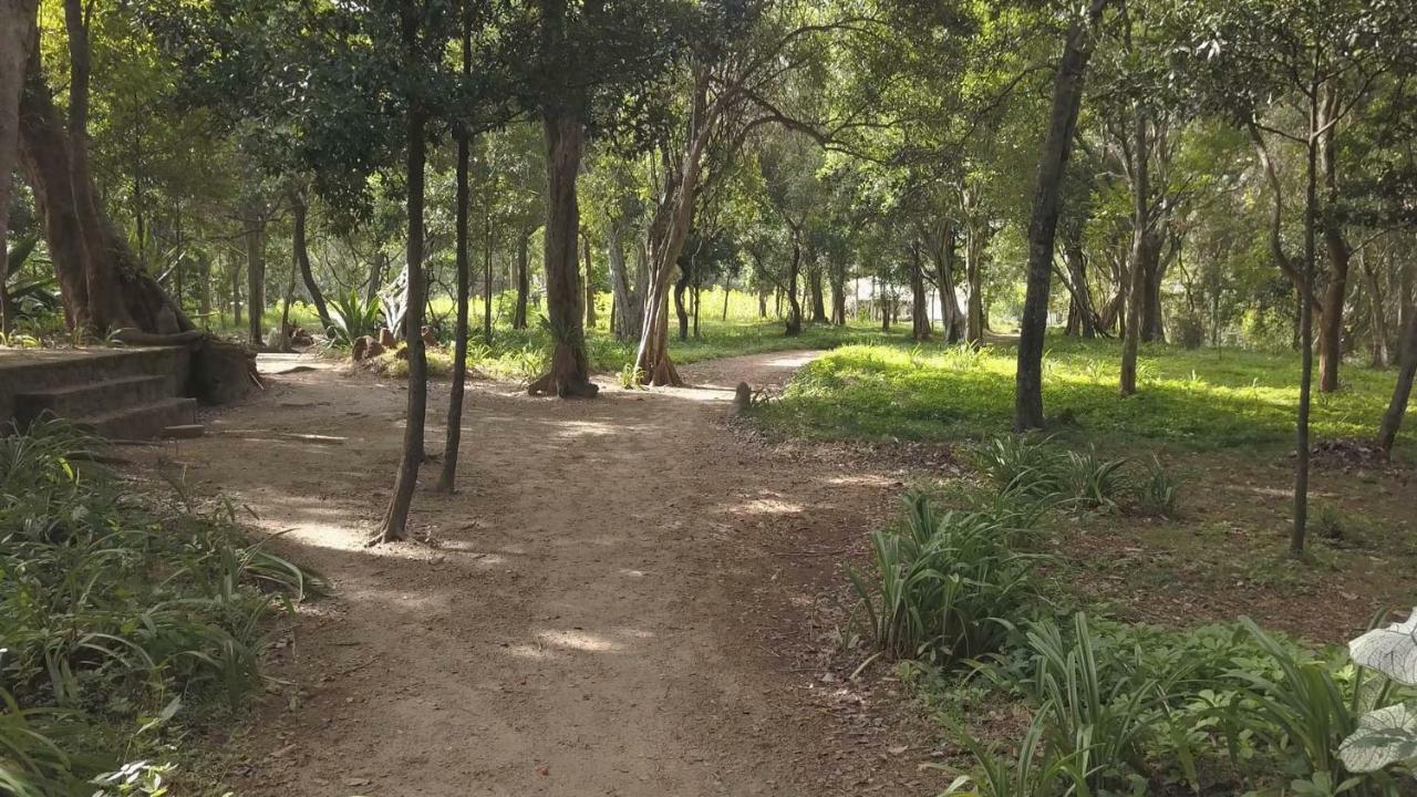 Buttala Galapita Eco Lodge מראה חיצוני תמונה