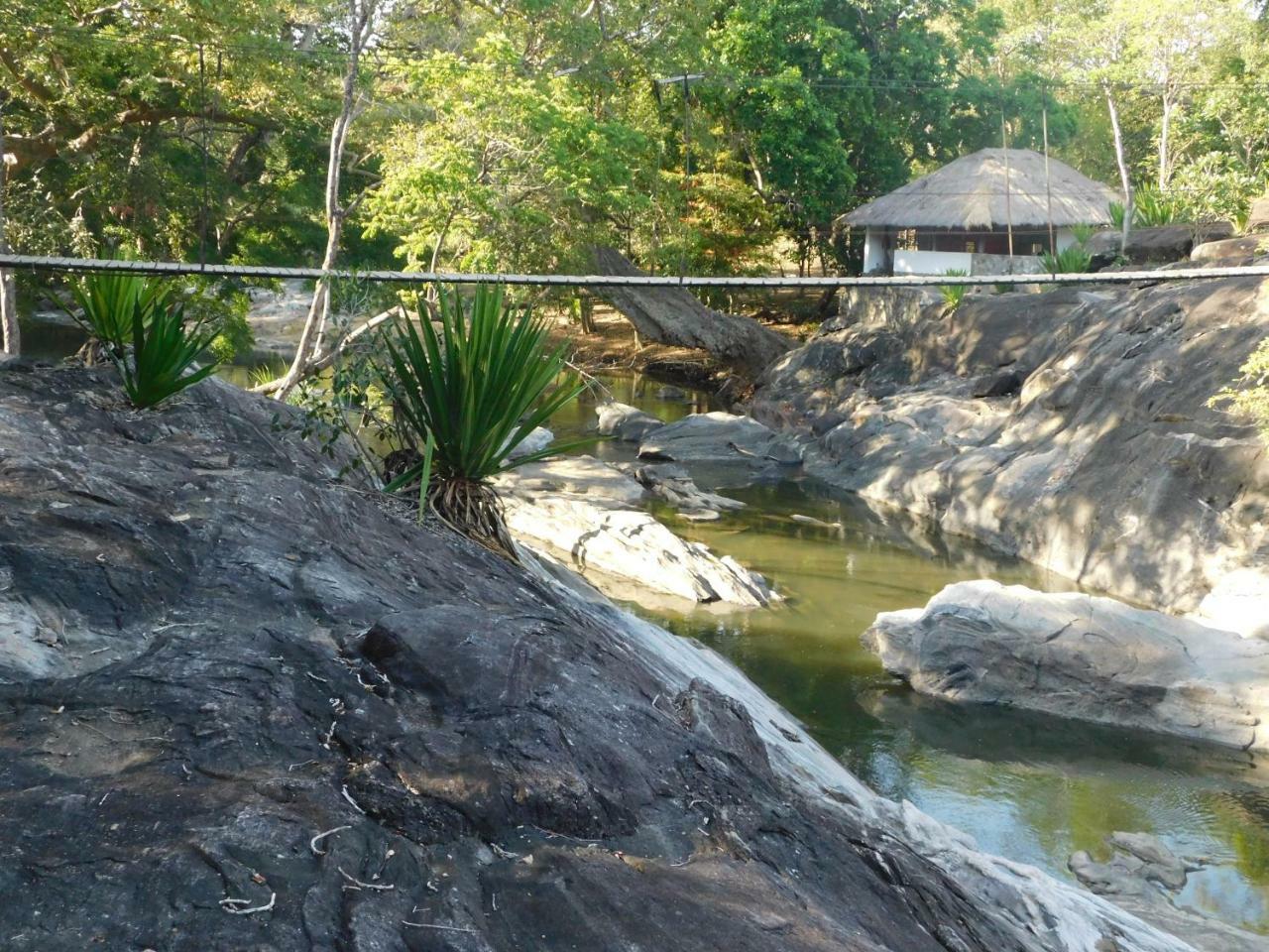 Buttala Galapita Eco Lodge מראה חיצוני תמונה
