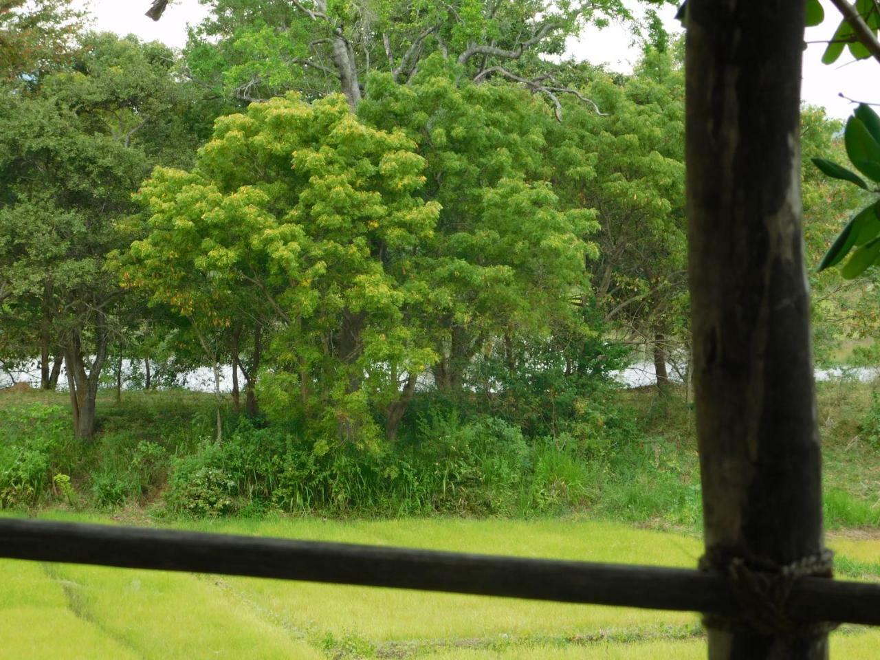 Buttala Galapita Eco Lodge מראה חיצוני תמונה