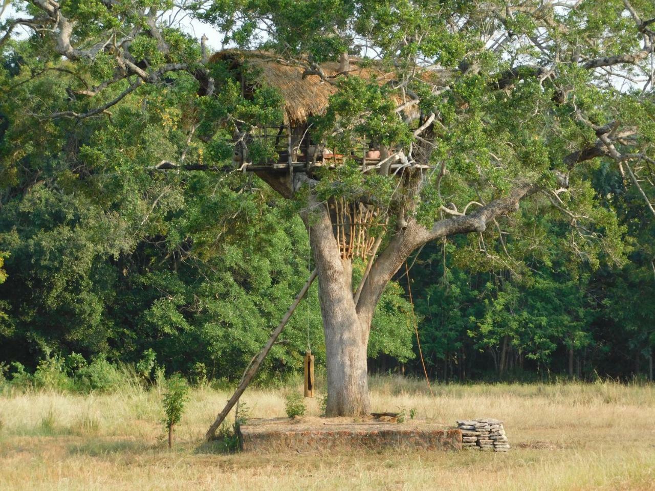 Buttala Galapita Eco Lodge מראה חיצוני תמונה