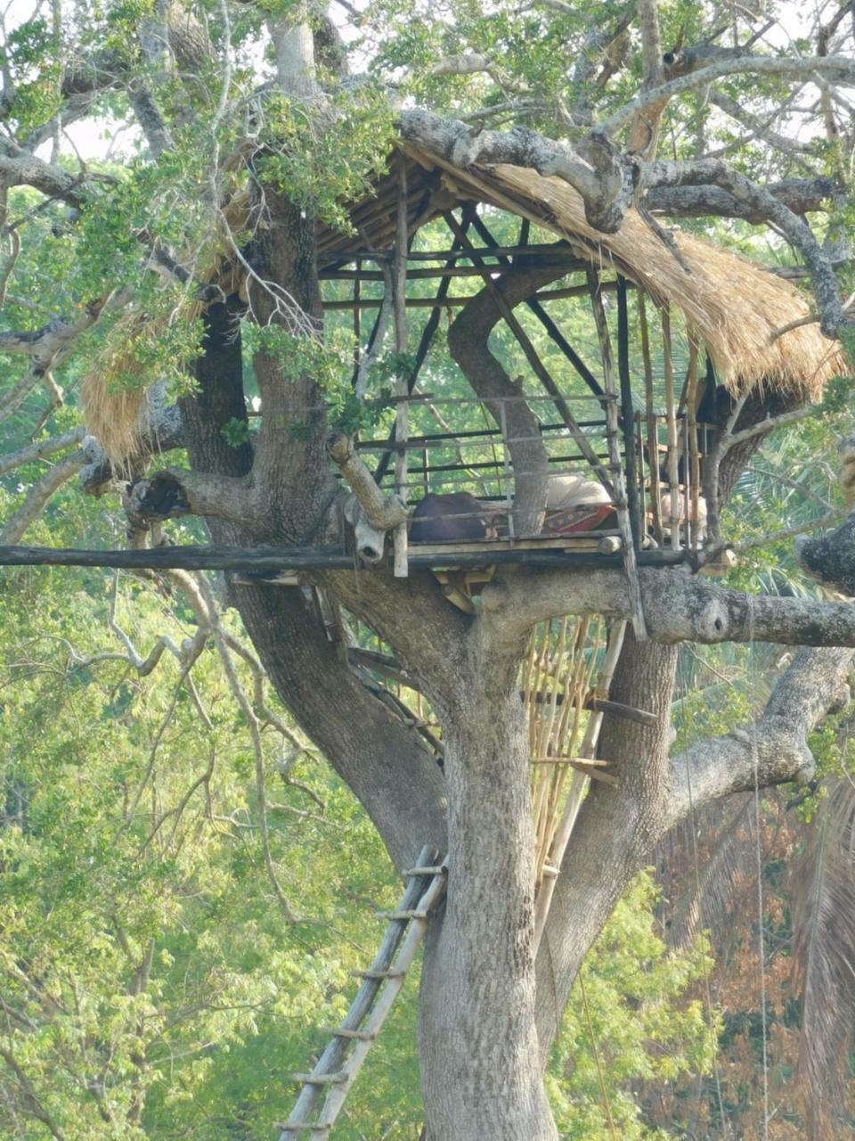 Buttala Galapita Eco Lodge מראה חיצוני תמונה
